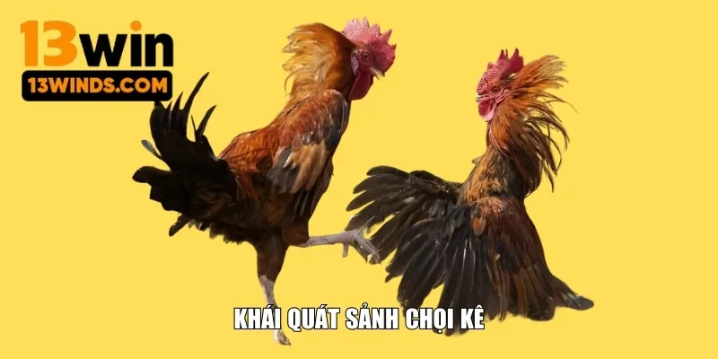 Khái quát sảnh chọi kê