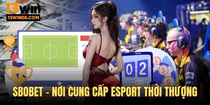 Sôi động cùng các sảnh cược hiện đại